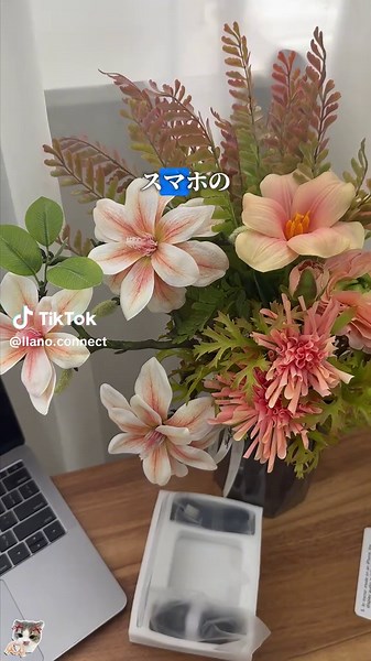 テレビもプロジェクターもこれ一つでOK