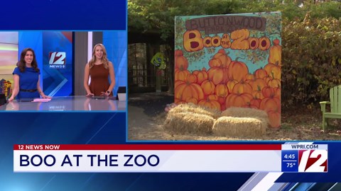 "Boo at the Zoo" returns to Buttonwood Park Zoo