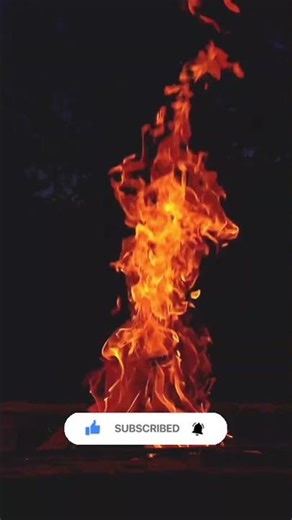 Best video moments 🔥🔥🔥🔥 nature effects #waterfall #junglenights #rain #burningfireplace