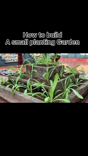 #planttiktok #garden #diy #dobymyself #handmade #plant useful small plant garden, could plant any vegetables. Thank you for watching🙏