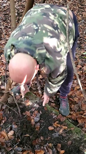 STEVE'S WALKABOUT. (Video no2 of 2) In search of the 2nd world War American Naval Hospital in Sparkwell woods on the edge of Dartmoor !! | Steve Swatton