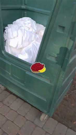 #funny #real #jefff #stupid #jan182026 #notAI