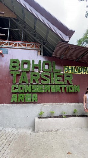 BINI Bohol Adventure: Tarsiers, Chocolate Hills, and Stair-crazy Fun!
