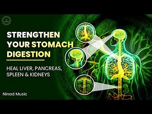 Strengthen Your Stomach, Digestion, Metabolism, Liver, Pancreas, Spleen And Kidneys | Binaural Beats