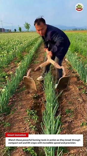 Amazing Farming Tools in Action – Fast Manual Harvesting Method You Need to See