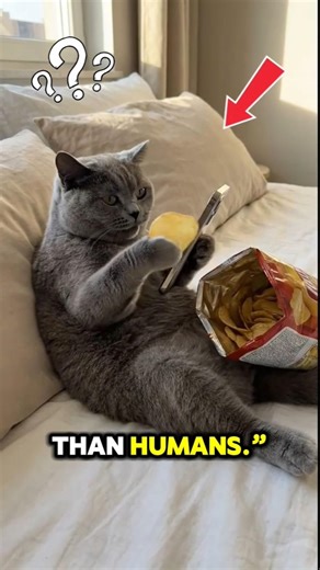 Animals might be smarter than humans… 😳 🧠🤯 #facts #animals