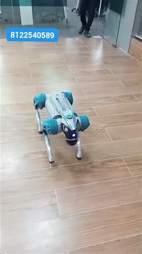 Dog Robot Event Rent 8122540589 Hyderabad Bangalore Mumbai Pune Goa Chennai Delhi Jaipur India