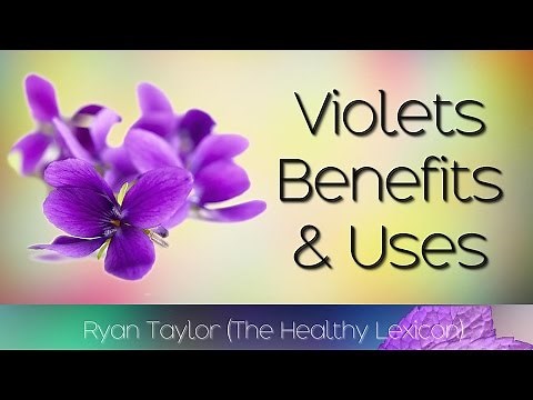 Violets Flowers: Benefits & Uses