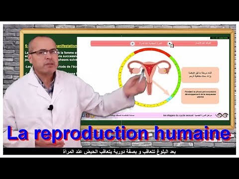 la reproduction humaine