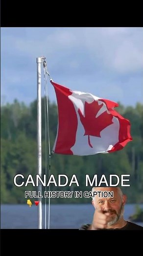 From Engine Lube to Crisco: The Startling History of Canola Oil- 🌿