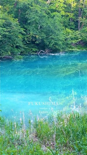 Goshikinuma Ponds (Aonuma) -五色沼湖沼群（青沼）-