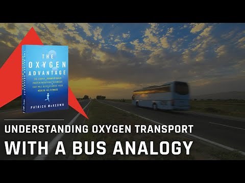 Understanding Oxygen Transport with a Bus Analogy