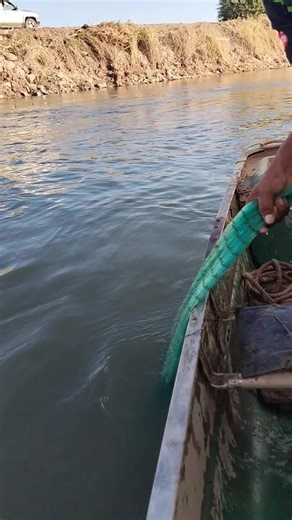 Este mostró miren lo k ISO jajaja saludos mi gente hermosa #algodeterror #nadieesdueñodesufelicidadmasqueunomismo #cazaypescacontavitos #NacimosParaSerFelicesNoPerfectos | Caza y pesca con tavito’s