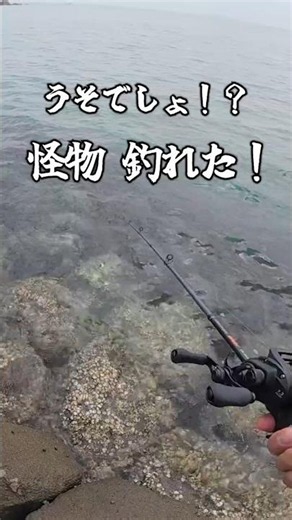 【穴釣り】初場所でいきなり怪物が釣れた！ #shorts