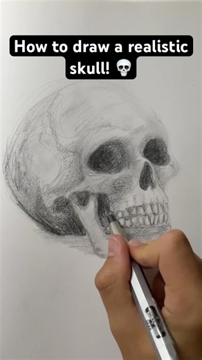 How to draw a realistic skull! #art #drawing #howtodraw #realism #realistic #viral #fyp #shorts