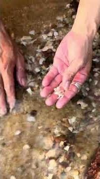 Finding a Pink Sapphire & Gold Pearl under the waves! 🌸🌊