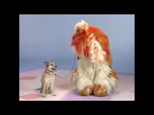 Elmo's World 👀 Dogs 👀