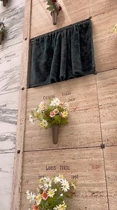 562 reactions · 11 comments | #cemetery #cemeteryphotography #grave #graveyards #shots #necropolis #cemeteries #gothic #taphophile #project #gravestone #cemeterywandering #cemeterylovers #death #dead #photography #graveyardphotography #affair #fanatics #tombstone #nation #life #graves #dark #art #taphophilia #bhfyp #urbex #urbanexploration | Crypt Door | Facebook