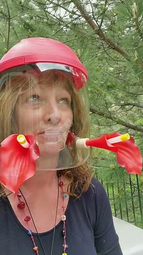 HummViewer Hummingbird Feeder