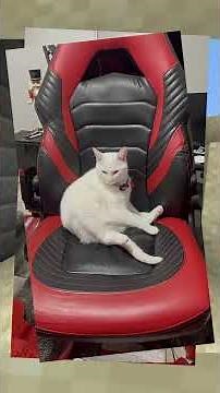 AI Building in Minecraft is Bad