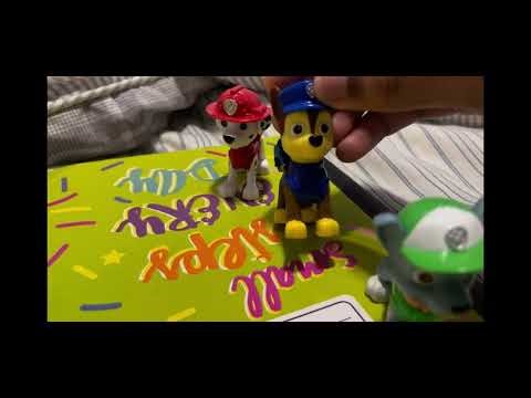 Team unmizooni Paw Patrol Rescue: Pups Save a Flying Florist