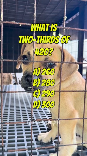 Math Quiz 3892 #mathematics #letexam2026 #LogicChallenge #brainpower #BrainTeaserFun #Analogy #millionaire #fblifestyle | 𝚀𝚞𝚒𝚣𝚖𝚊𝚗.𝚙𝚑 𝟸.𝟶