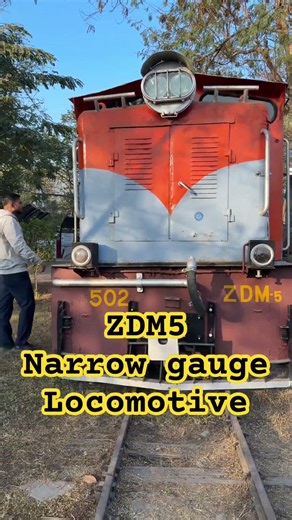 ZDM5 narrow gauge locomotive #shorts #short #youtubeshorts #youtubeshort #ytshorts #ytshort #yt