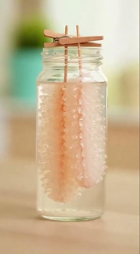 Growing Sugar Crystals on Sticks 🍬 Rock Candy Time-Lapse #Shorts