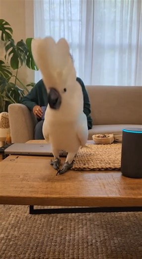 678K views · 18K reactions | look at my dance 列 | Random Sparks | Facebook