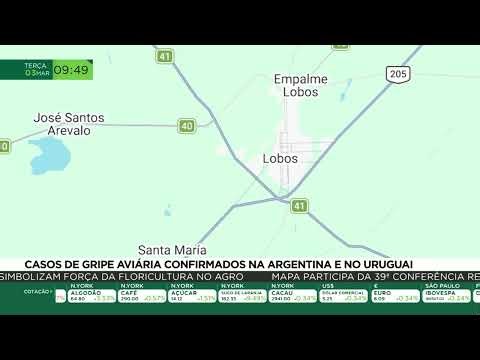Casos de gripe aviária confirmados na Argentina e no Uruguai