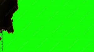 Paper burning in flames. White paper burns, revealing burnt edges, smoke and turns into ashes. Abstract paper burn transitions for your projects. Animation of realistic fire effect. 4K, Alpha Channel.