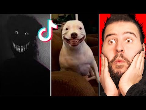 THE MOST SCARY AND DISTURBING TIKTOKS OF 2022