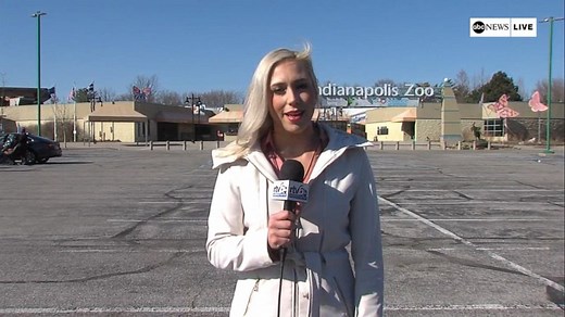 Zoo announces 2nd elephant death in a week