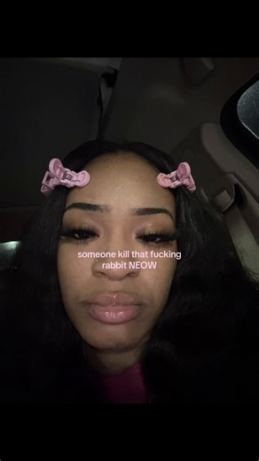 Addressing Rabbit Behavior Concerns