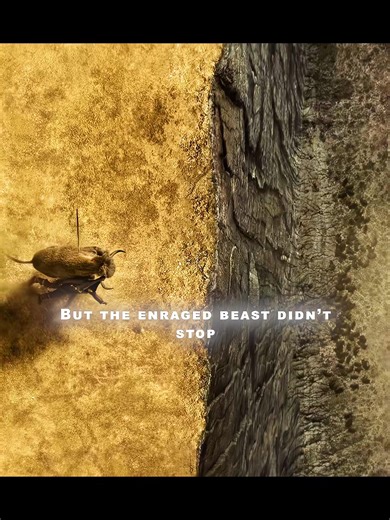 🎬: Alpha (2018) Like and follow for more movie recommendations 🍿 #fypシ゚viralシ #highlightseveryonefollowers #reelsfbシ #viralreelschallenge #foryoupageシ #horrormoviesandchill #horrorjunkie #Netflix #movierecommendation #movieclips #fblifestyle #bestmovie #bestmoviescene #movies #clips #thriller #actionmovie #fblifestyle | Seen √