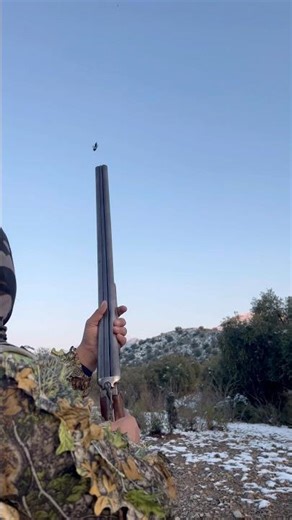Birds 🦅 🦆 😱Hunting with most legendary 12 bore or 12 gauge shotgun