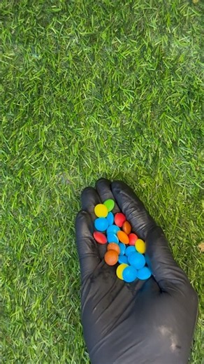 COLOURFUL BEANS OPENING VIDEO 😍 #asmr #satisfying #shorts