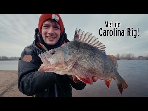 How Do I Find Big Bass in New Water? - VisTD