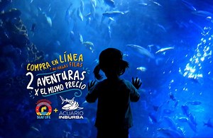 ¡Sumérgete en la diversión y adquiere tus boletos en línea evitando filas! 🐟🦈🐡🐢🐠 📆 Elige el día y horario de tu visita sin cargos extras (cupo limitado). 🌐 https://acuarioinbursa.blaulife.com.mx/?utm_source28al105 🔹Entrada general $195 / INAPAM y PCD $175 / Menores de 3 años ¡Gratis! 🕙 Horario de lunes a domingo de 10am a 6pm. | Acuario Inbursa