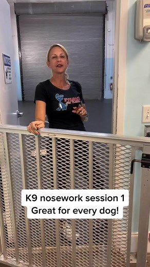 Introduction to K9 Nosework Training