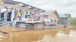 Congo Nouveau on Reels