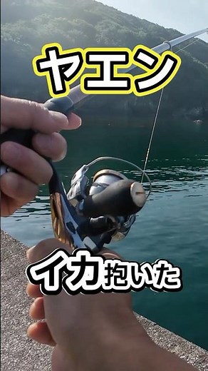 Yaen fishing: "Don't miss that split second!" [Spring breakwater series ③] #Aori squid #Yaen #sho...