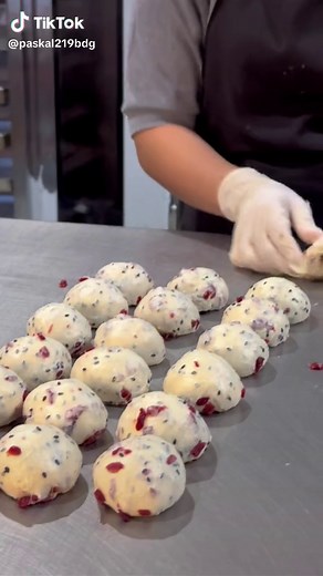 Cranberry Cheese Sourdough Bread Making Tips & Recipe
