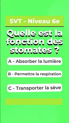 SVT 6e : Connaissez-vous les stomates ?