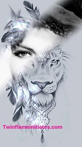 Lyran starseed Solar twin flame in the house: 😻😻😻 | Twin Flame Initiates