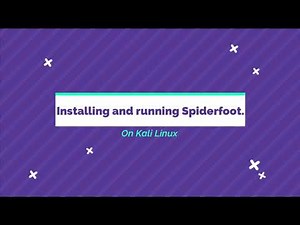 Spiderfoot Tool Installation and Domain Scanning.