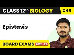 Epistasis - Principles of Inheritance and Variation | Class 12 (2022-23)