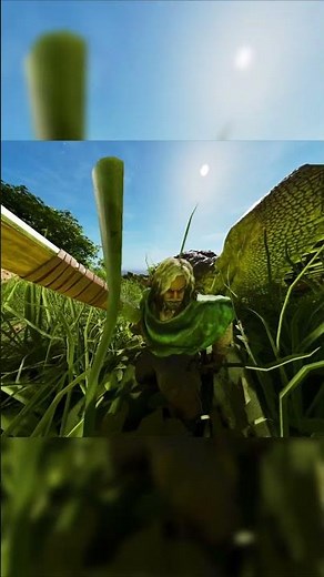 How to acquire MORE Dinos in Ark Survival Ascended #arksurvivalascended #arksurvivalevolved