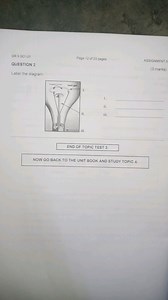 Label the diagram below (parts i, ii, iii):Light Bulb Structu... | Filo