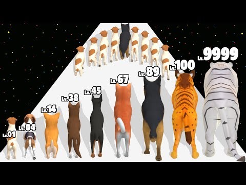 Animal Race Dog Evolution - Level Up Animal Max Level Gameplay